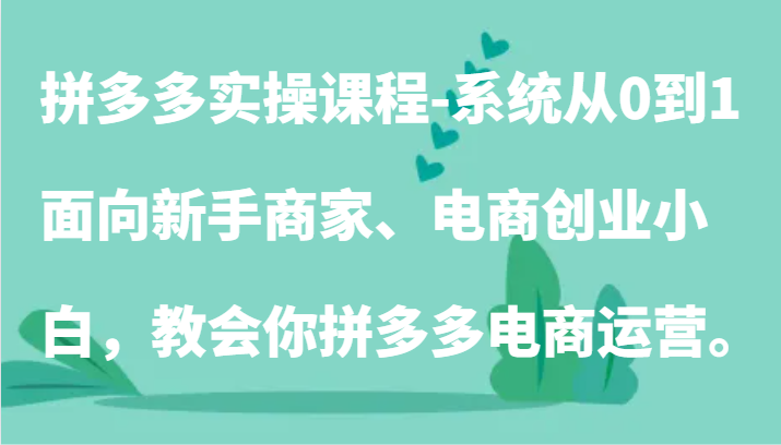 拼多多电商运营入门课 小白也能从0到1精通