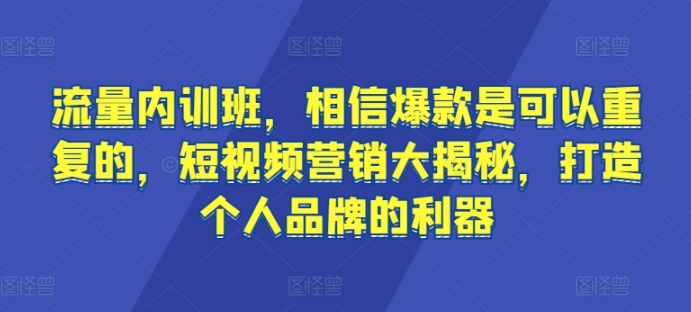 短视频爆款秘籍 复刻成功 打造个人品牌新利器-九零创业网