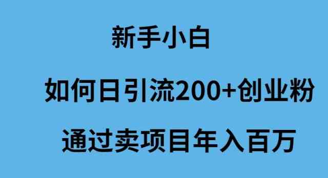 小白日吸200创业粉 卖项目年入百万速成攻略-九零创业网