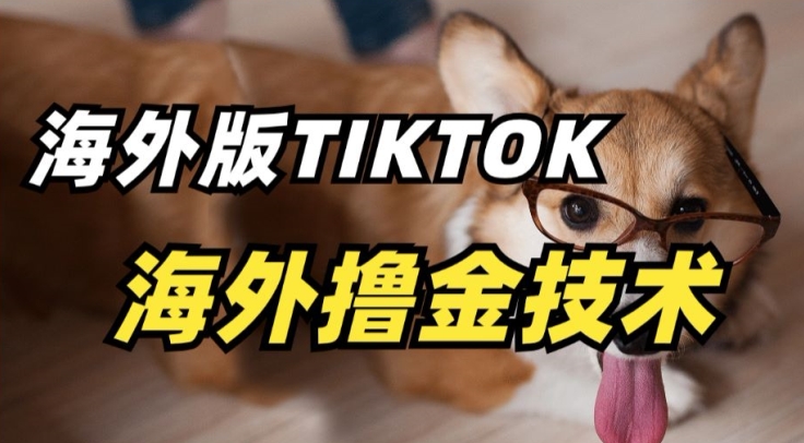 TikTok海外掘金 轻松赚钱新风口
