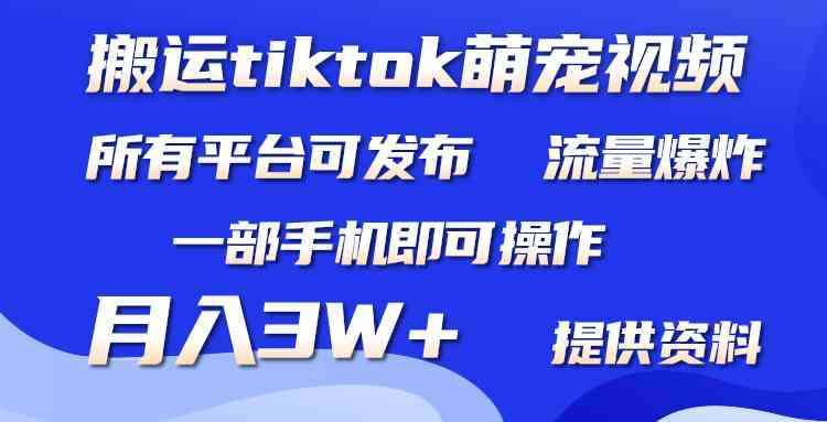 一机在手 萌宠视频月入三万 短视频平台轻松赚