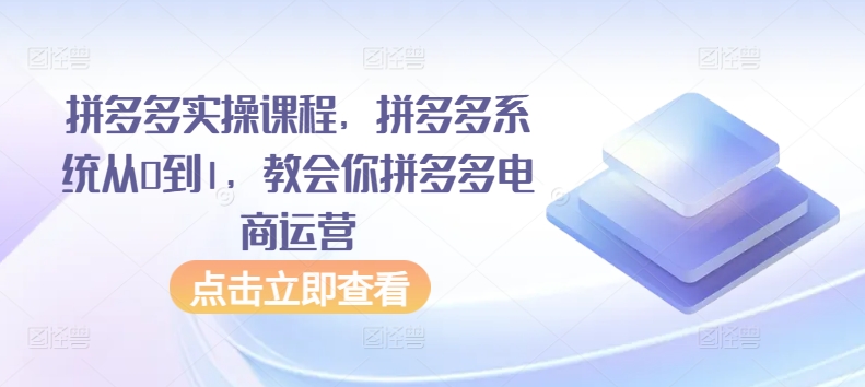 拼多多电商从零起步 系统实操课程 一课精通运营-九零创业网