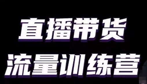 小白主播速成秘籍 直播带货流量训练营核心课程-九零创业网