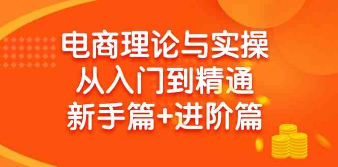 电商理论与实战 新手进阶两步曲
