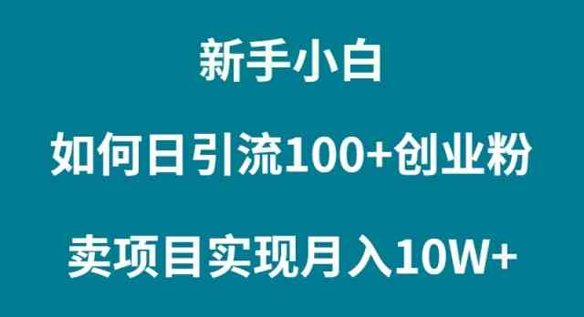 小白卖项目 轻松月入10W+攻略-九零创业网