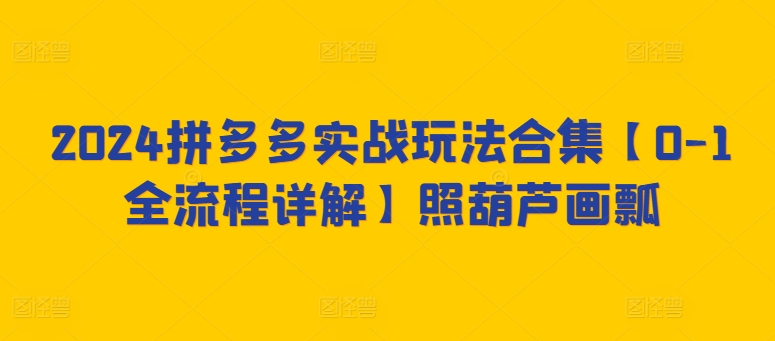 2024拼多多实战攻略 从入门到精通全解析-九零创业网