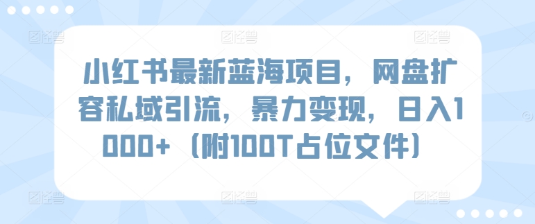 网盘私域引流新法 蓝海项目日赚千 100T资源助你飞