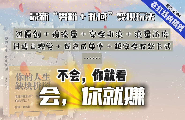 2024年 男粉私域 稳赚不赔的轻松变现之道-九零创业网