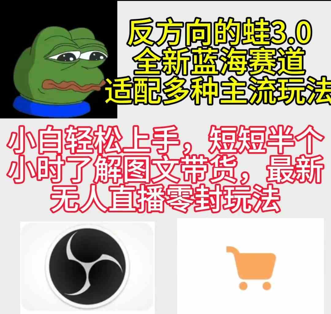 蛙3.0新玩法揭秘 小白轻松变现 探索新蓝海