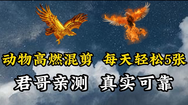 每日动物燃爆混剪 5图轻松嗨翻你的生活-九零创业网