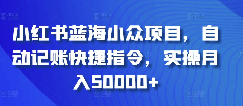 蓝海项目揭秘 自动记账指令 月入5万不是梦