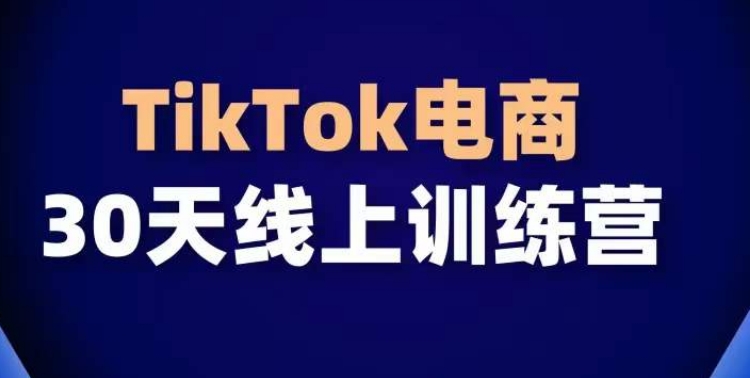 抓住TikTok电商风口 全球流量洼地30天速成课-九零创业网
