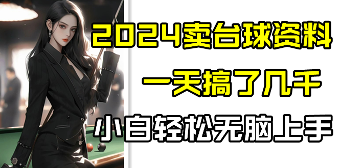 2024台球速成宝典 小白一天上手 轻松玩转台球