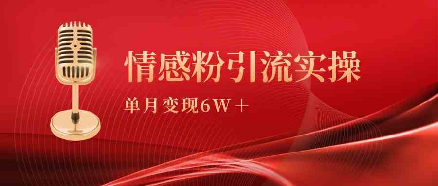 单月6万变现秘籍 情感粉引流实操课大揭秘