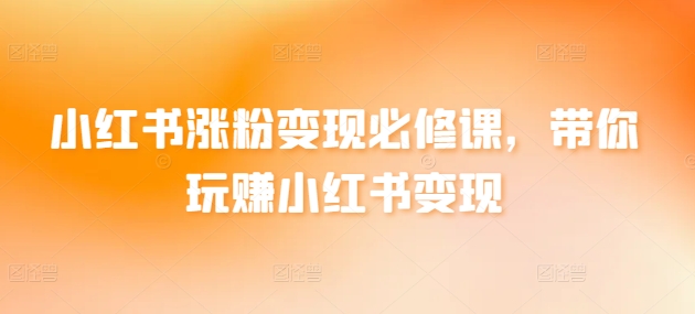 小红书涨粉变现攻略 轻松玩转赚钱之道-九零创业网