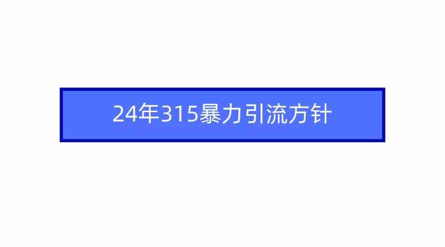 2024年315行动 严打暴力引流 净化网络环境-九零创业网