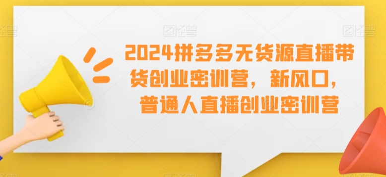 2024拼多多直播带货新风口 普通人创业密训营启航-九零创业网