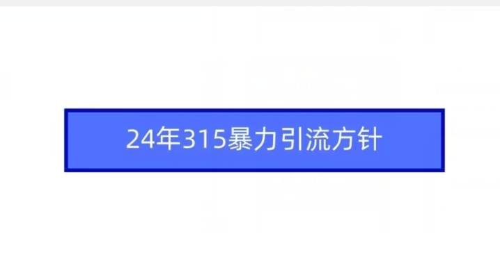 2024年315聚焦打击暴力引流乱象