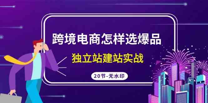 揭秘跨境电商爆品策略 独立站建站实战教程-九零创业网