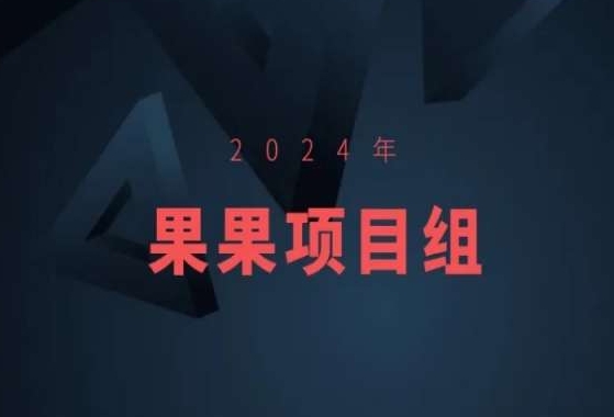 2024果果项目组 集结创新力 启航全新项目合集