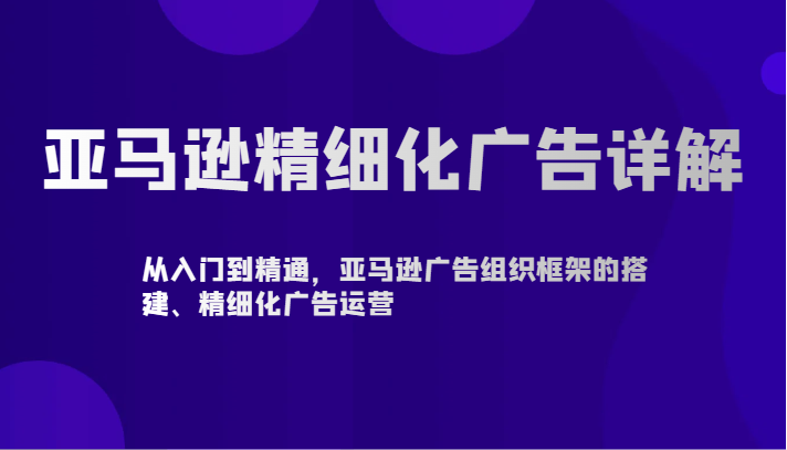 亚马逊广告深度解析 从搭建框架到运营精通