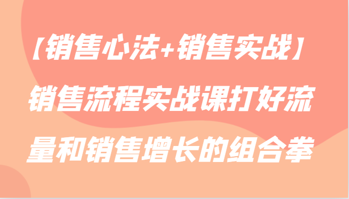 实战心法+流量策略 销售增长双管齐下课程
