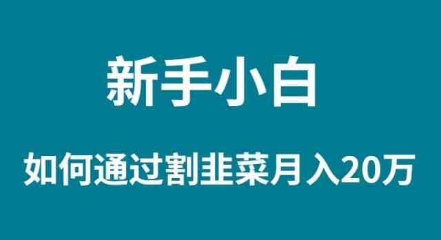 小白割韭菜 月入20W速成攻略揭秘