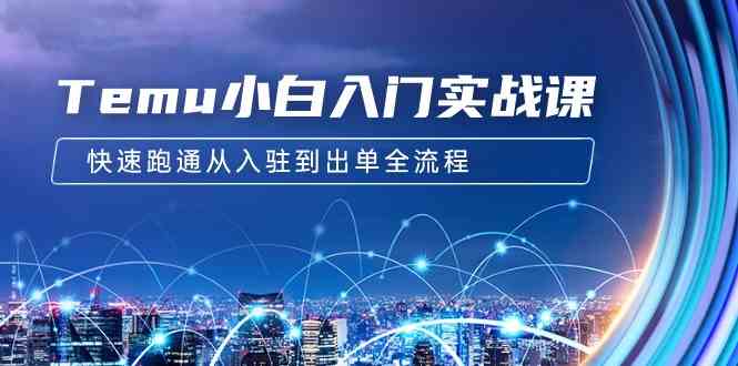 Temu电商新手速成指南 12节课助你快速开店出单