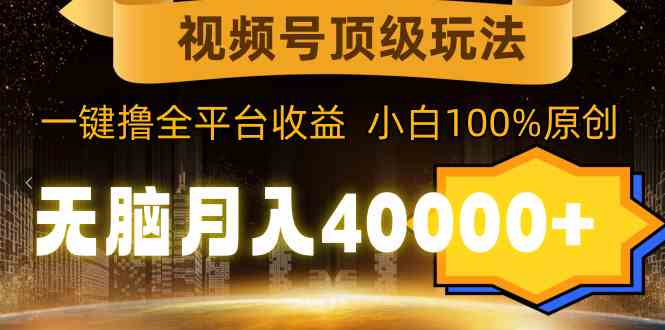 9281期视频号攻略 小白月入4万+ 全平台收益一网打尽-九零创业网