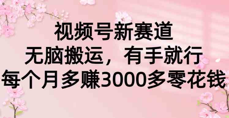轻松月入3000 视频号新赛道 无脑搬运 小白也能赚