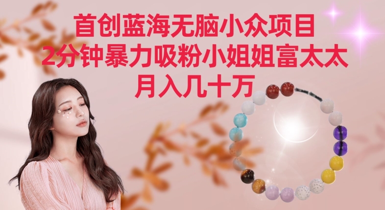 蓝海无脑项目 月入十万 富太太速来吸粉-九零创业网