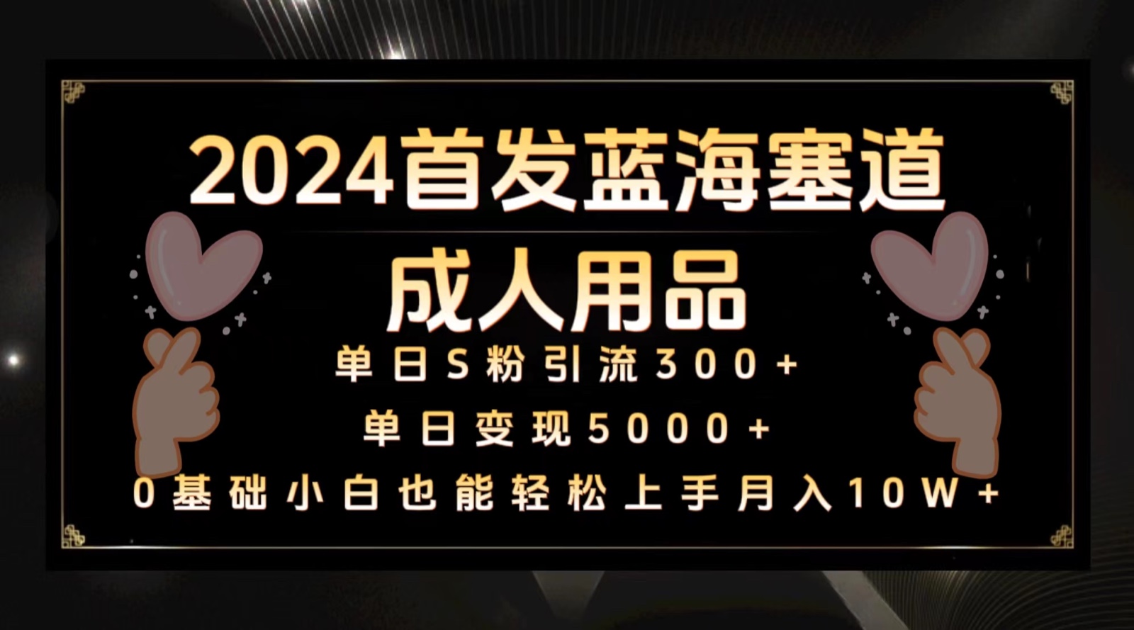 2024蓝海塞道揭秘 月入10W+成人用品保姆级攻略-九零创业网