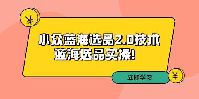 拼多多第33期培训 深度解析小众蓝海选品技巧-九零创业网