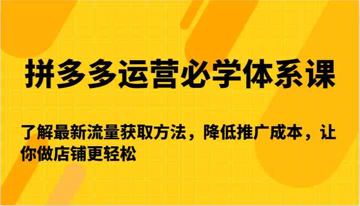 拼多多运营课 高效流量策略 低成本推广 轻松开店之道