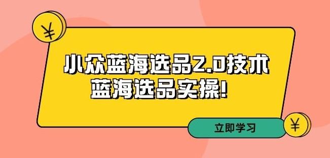 拼多多第33期培训 揭秘小众蓝海选品2.0实操技巧-九零创业网