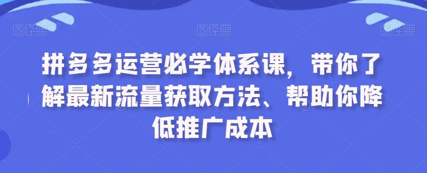 拼多多运营必学课 解锁高效流量 降低推广成本秘籍-九零创业网