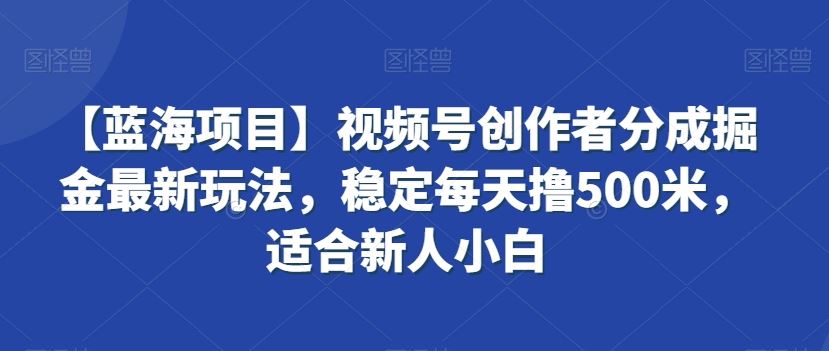 蓝海项目视频号分成新攻略 小白日入500米揭秘-九零创业网