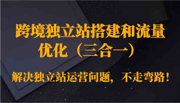 跨境独立站三合一 搭建+优化+流量 高效运营捷径-九零创业网