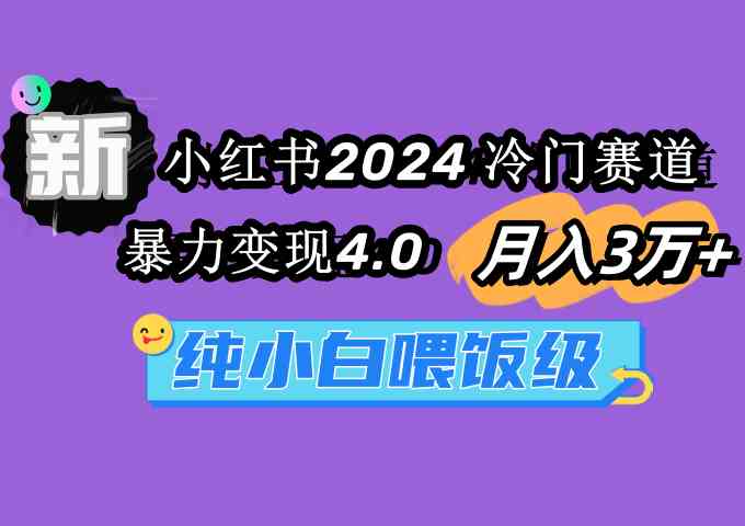 2024小红书冷门赛道揭秘 小白月入3万+ 喂饭级变现攻略-九零创业网