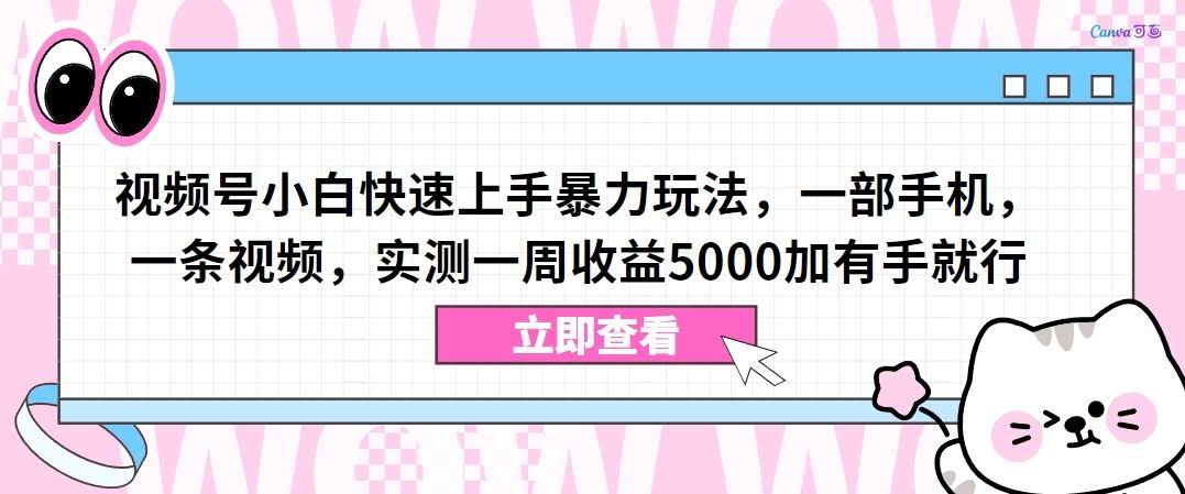 视频号小白速成攻略 一机一视频 周赚5000+