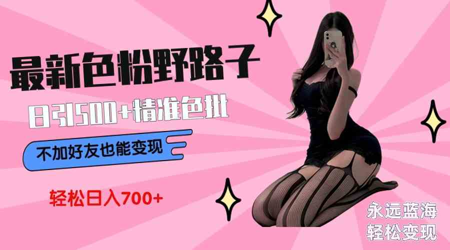 9119期色粉变现新法 日吸500老粉 无需好友 小白日赚700+-九零创业网