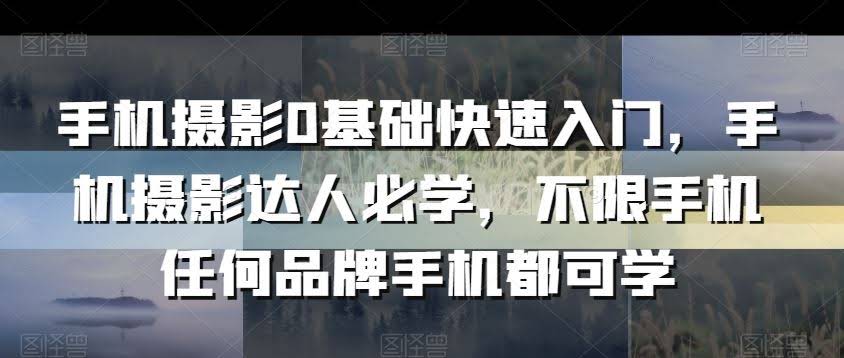 手机摄影速成宝典 零基础达人必备 品牌不限-九零创业网