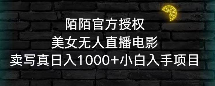 揭秘 陌陌美女直播写真 日赚千元新项目-九零创业网