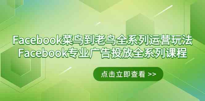 从菜鸟到老鸟 Facebook运营+广告投放全攻略课程