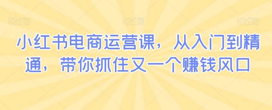 小红书电商课 从新手到高手 风口赚钱一步到位