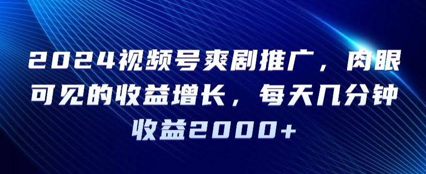 2024视频号爽剧热推 日赚2000+ 揭秘收益秘诀-九零创业网