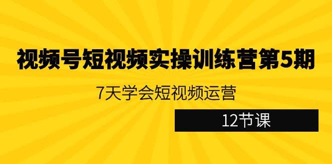 5期训练营 7天精通短视频运营 12节课解锁短视频秘籍-九零创业网