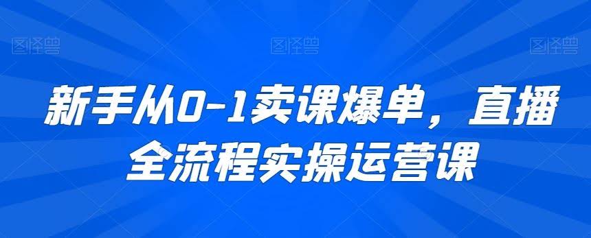 从零到爆单 新手直播卖课全流程实操指南-九零创业网