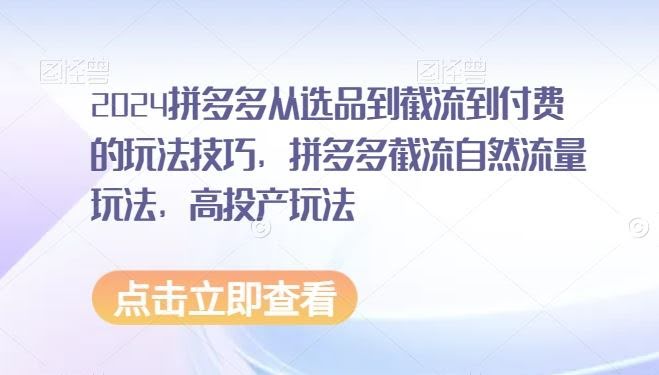 2024拼多多选品截流高投产 自然流量新攻略
