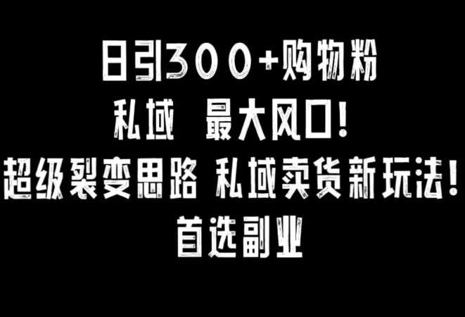 小红书裂变秘籍 日增300粉 私域副业新风向-九零创业网